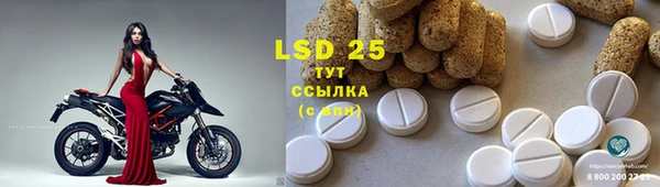 гидра Липки