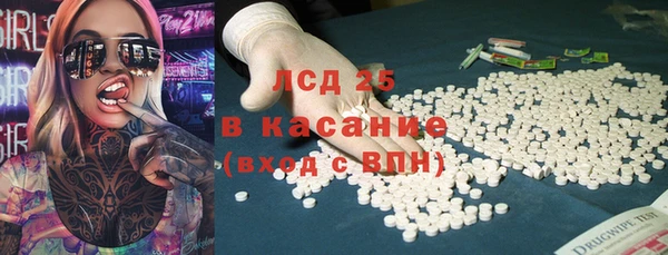 прущие грибы Лабытнанги