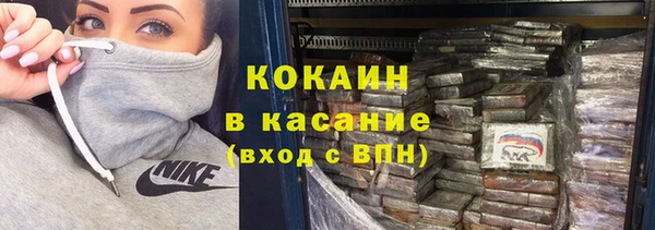 прущие грибы Лабытнанги