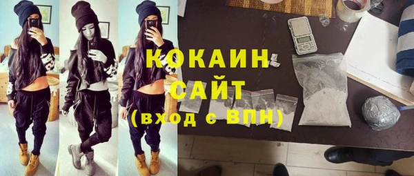 гидра Липки