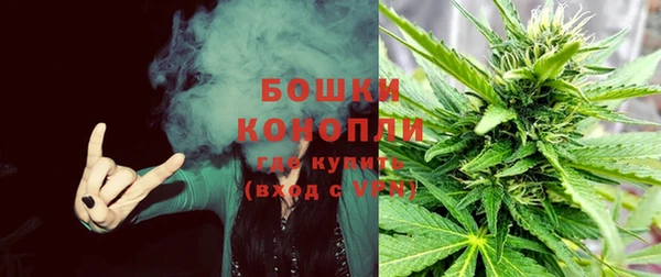 ешки Лиски