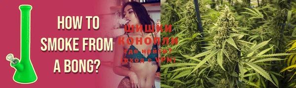 ешки Лиски