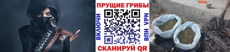 как найти   Батайск  Галлюциногенные грибы мицелий 