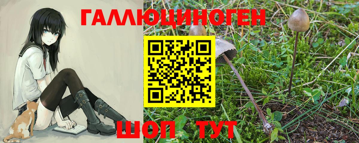 Батайск  Псилоцибиновые грибы MAGIC MUSHROOMS  Псилоцибиновые грибы мицелий  Вход с VPN 