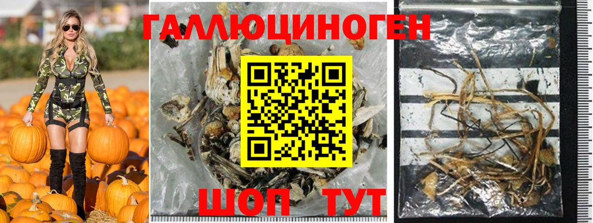 купить наркотики сайты  Батайск  Псилоцибиновые грибы мухоморы 